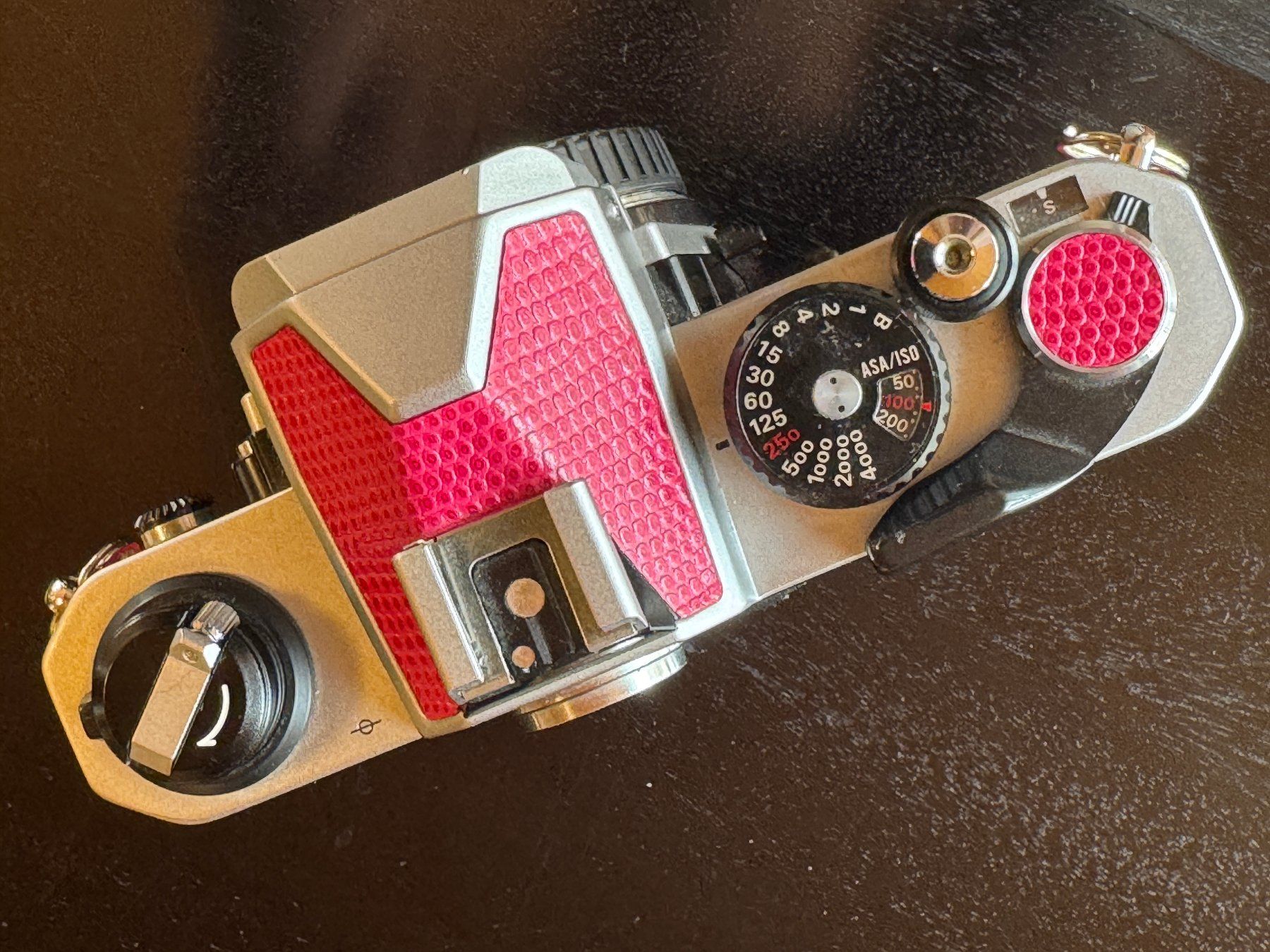 Nikon Kamera: Nikon FM 2 n in Leder Pink – Gebraucht aus Rüthi (Rheintal) von Kunsttrifftdich 1