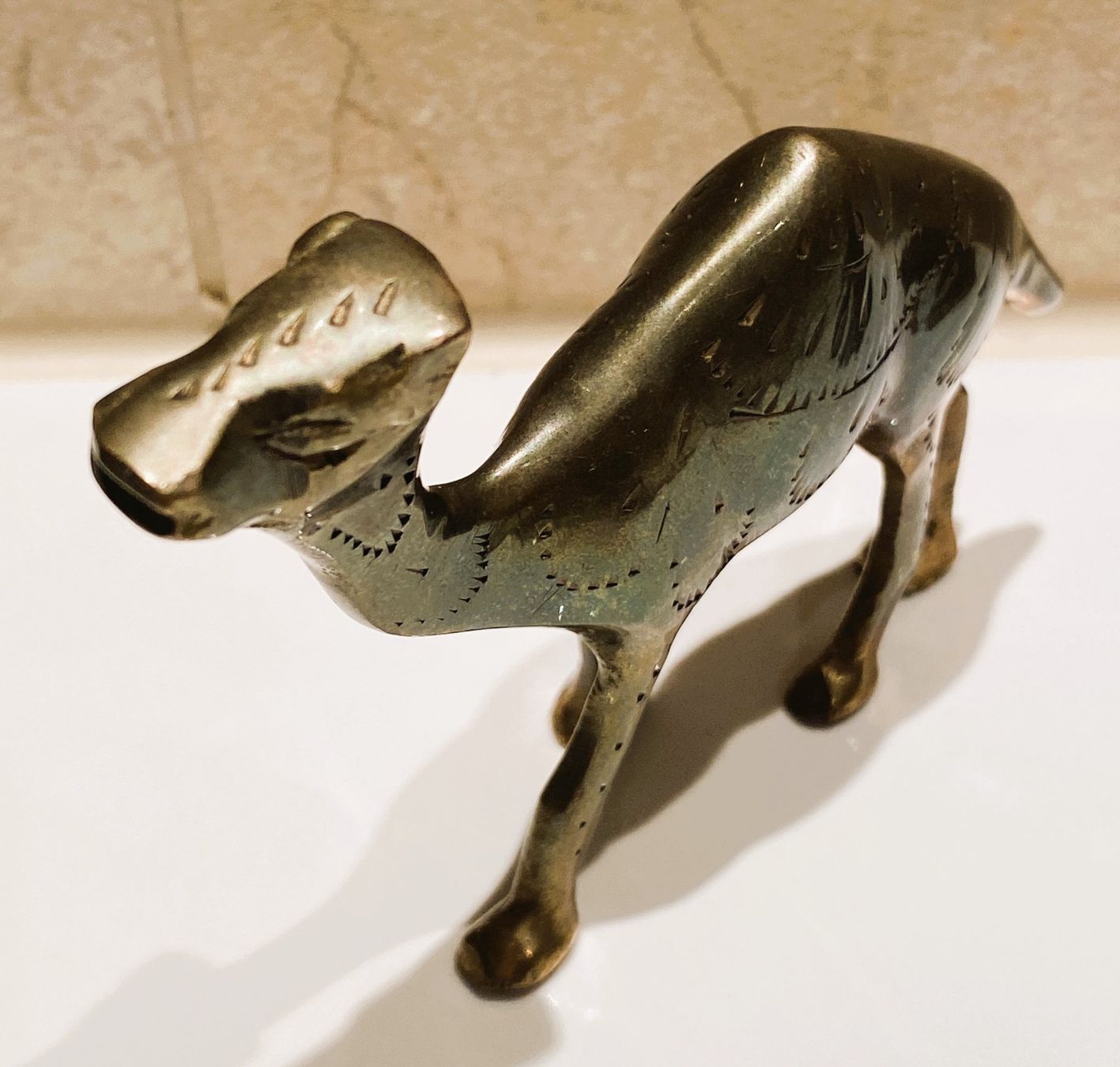 Statuette: wunderschöne Bronze Messing Figur Dromedar Kamel – Usato da Allschwil venduto da Rosenfee 2