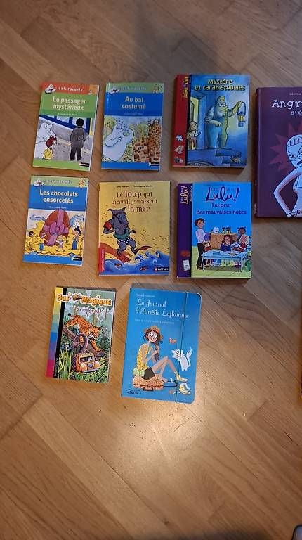 Bücher: Livres enfants français  – Gebraucht aus Essertes von ast_mk5t 1