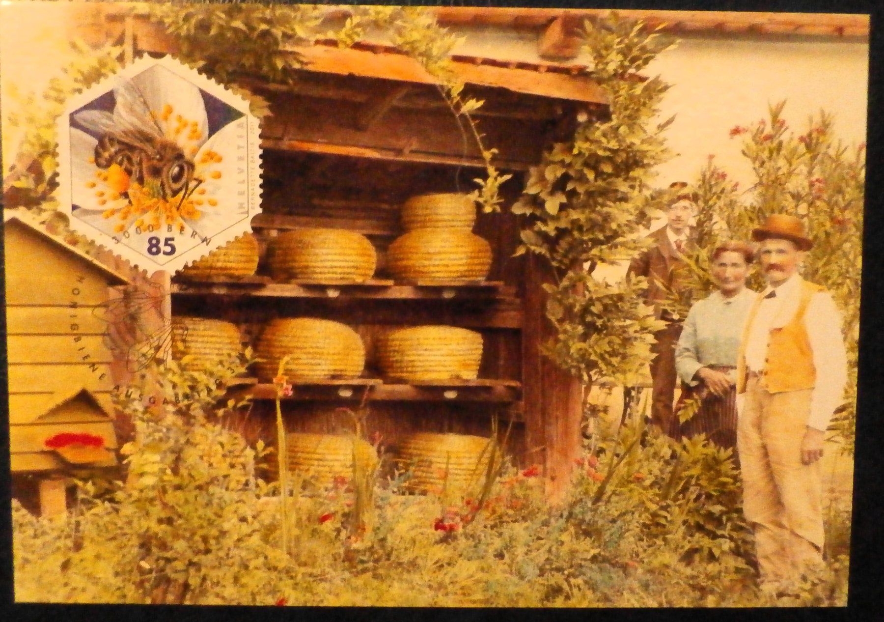 Cartoline postali: CH Korbbienenstand in Küttigen Postkarte – Usato da Kehrsatz venduto da Bernherb2 1