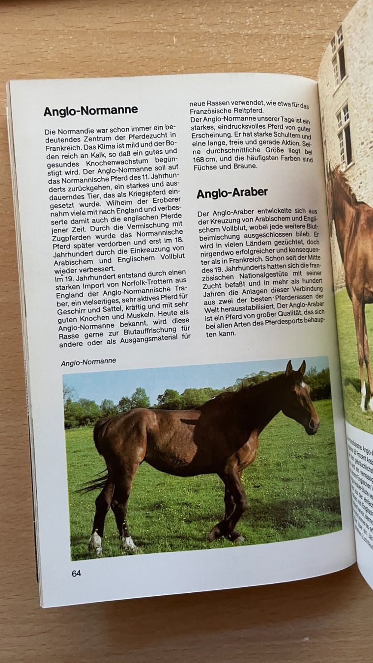 Libri: Pferde und Ponys – Usato da Glattfelden venduto da markweb 6