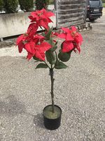 Fausses étoiles de Noël