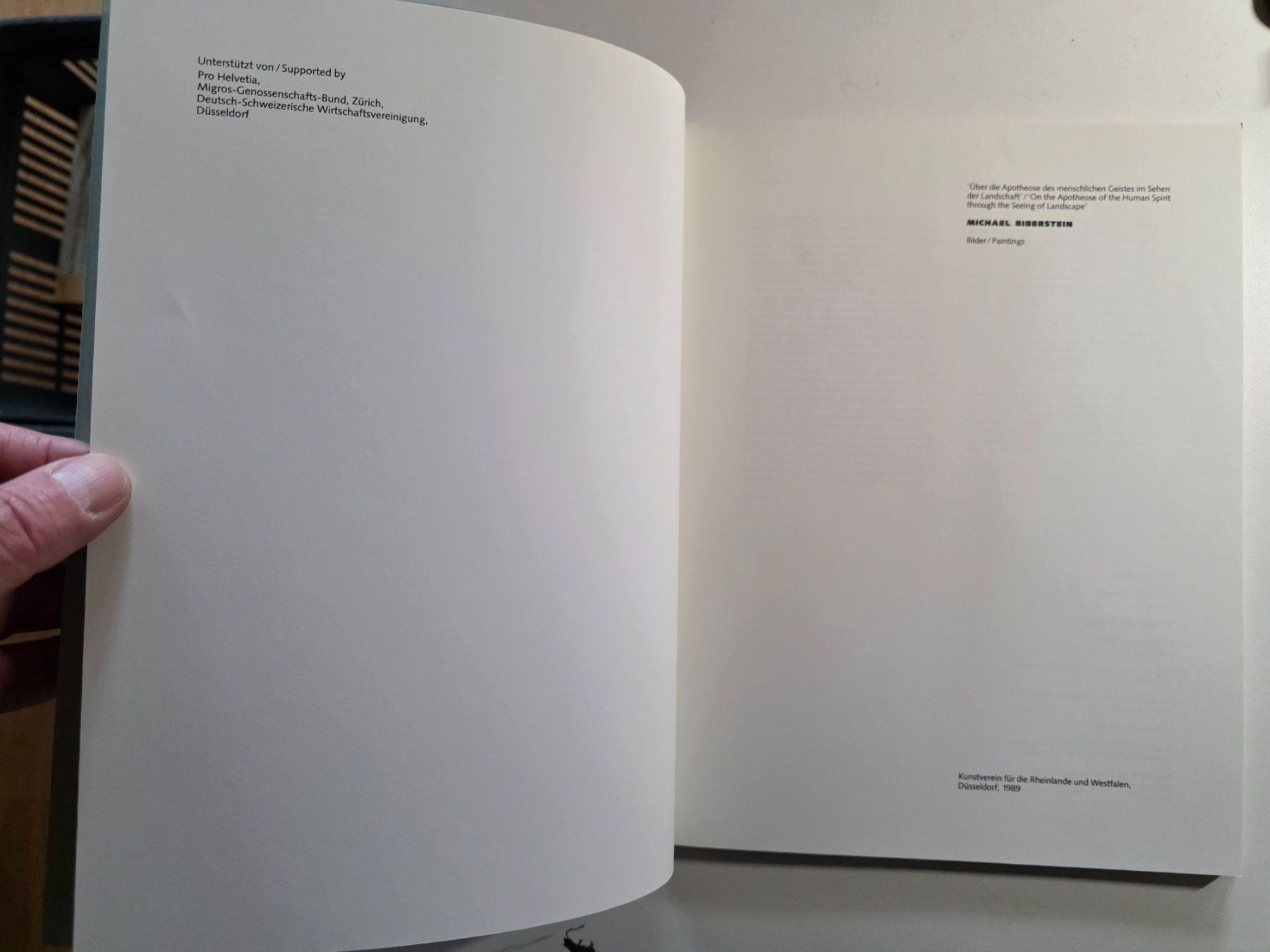 Libri: Michael Biberstein - Bilder Buch Kunst 1/1000 – Usato da Walterswil BE venduto da Lonitti 9