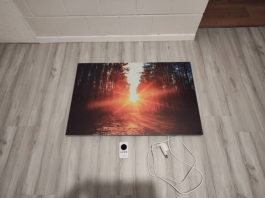 Radiatori: Infrarotheizung mit Bild (580W) – Usato da Altstätten SG venduto da RK93