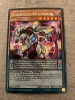 Buntäugiger Rollendrache