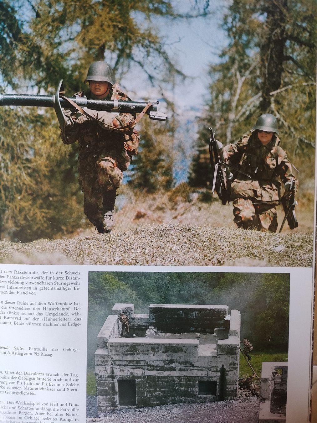 Libri: Schweizer Armee Militär Buch – Usato da Schwanden Sigrisw venduto da pho_2mc9 2