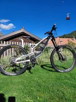 YT Dh. Carbon
