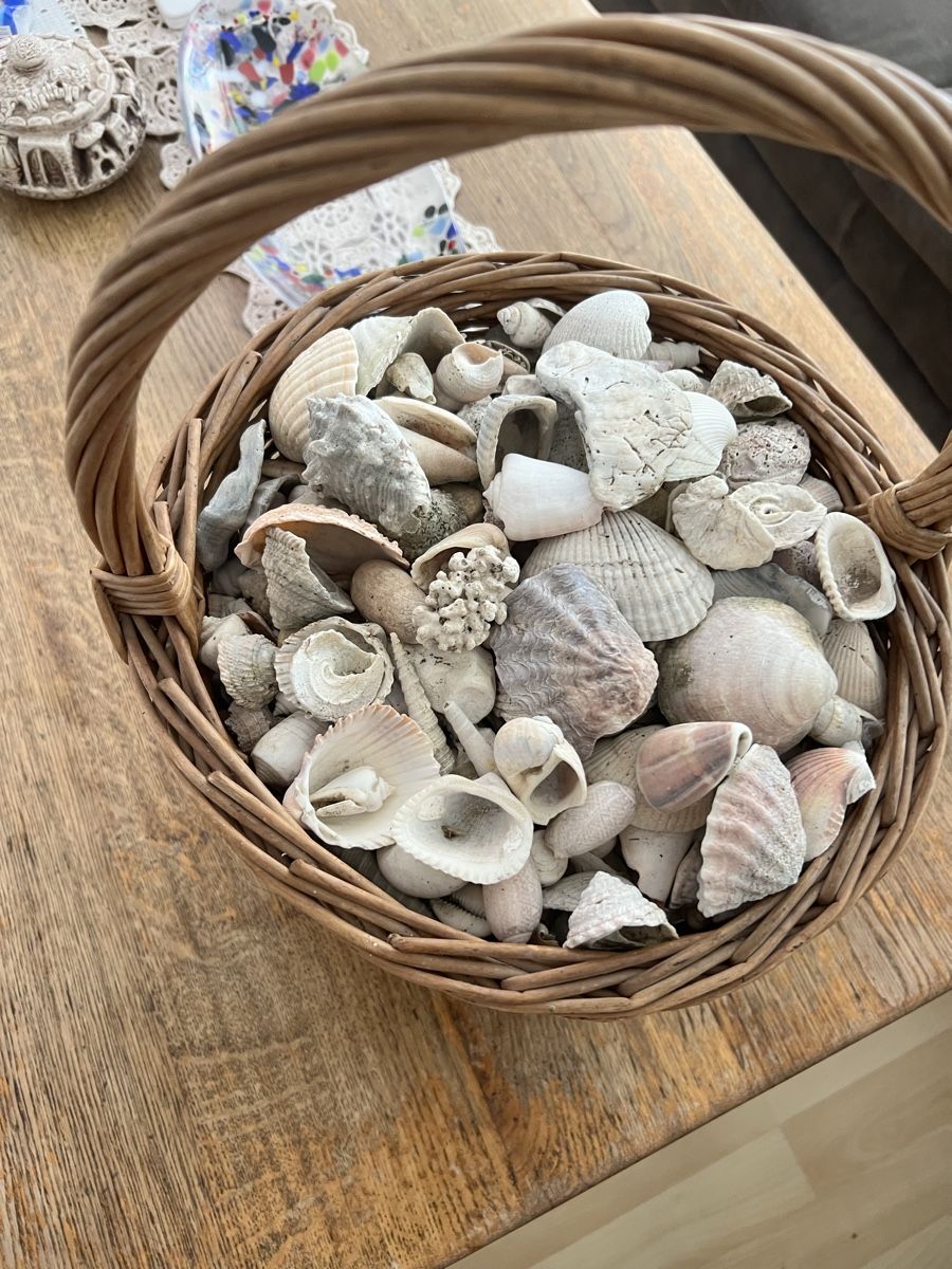 Toutes les décorations: Korb mit Muscheln  – D'occasion à Kirchleerau par 58.iirem 1