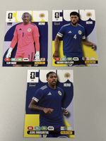 Panini WM 26 - 133/135/141