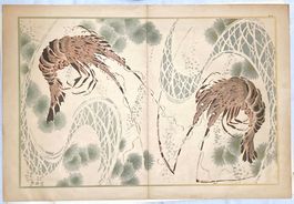 🌟 Lithographie (?) 1888 Japan Langusten Hummer S. Bing 🌟