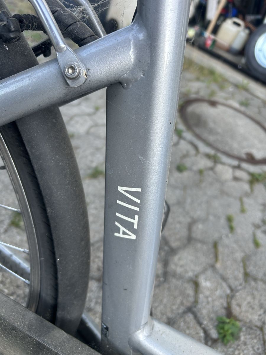 Biciclette: E Damen bike – Usato da Rickenbach LU venduto da Brutus05 2