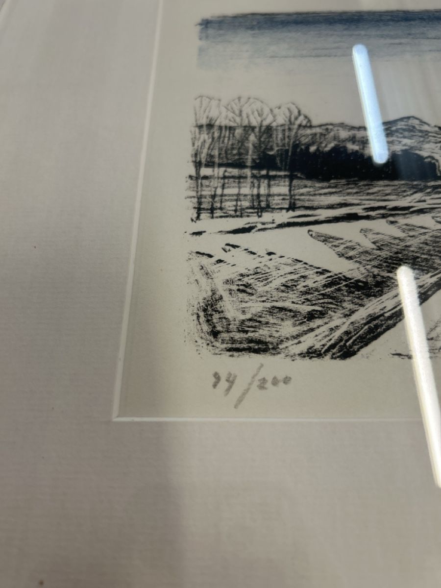 Grafica & Litografie: Victor Surbek, Lithografie – Usato da Zürich venduto da BashasBrockenhaus 2