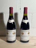 Labouré-Roi – Santenay 1er Cru 1995 –  1 Flasche