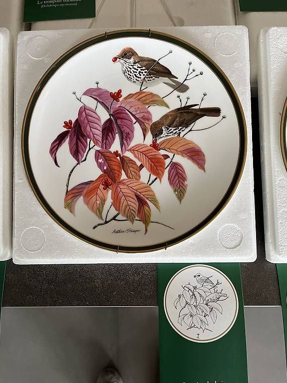 Piatti: Assiettes de collection  – Usato da Neuchâtel venduto da pat_8dbd 2
