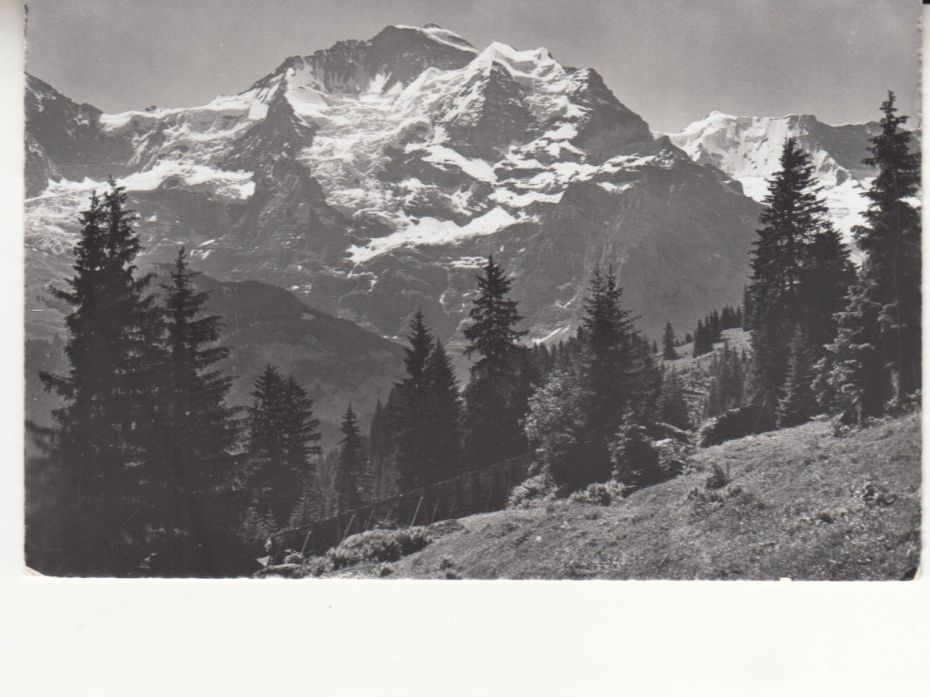 Cartoline postali: Mürren Jungfrau ca. 1950 – Usato da Bürglen TG venduto da StampGraf