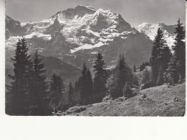 Mürren Jungfrau ca. 1950