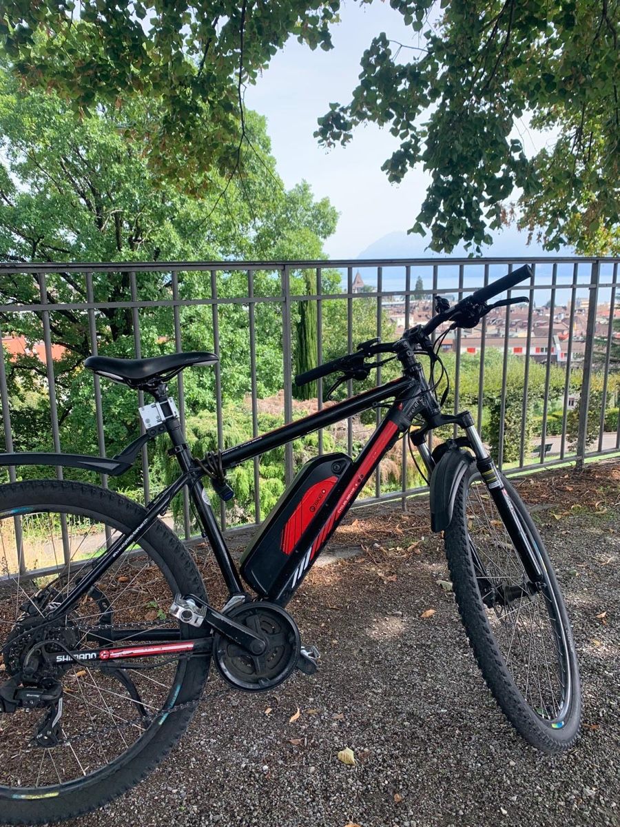 Biciclette: Electric bike – Usato da Genève venduto da Eboy0