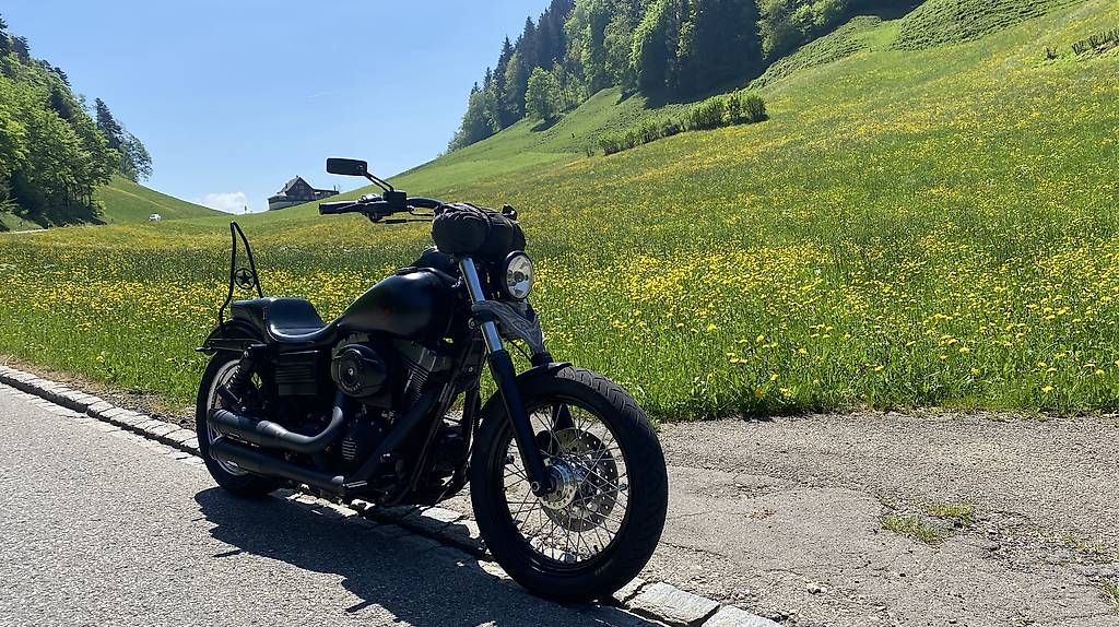 Cruisers: Harley Davidson Dyna Street Bob  – D'occasion à Beringen par Suni8 2