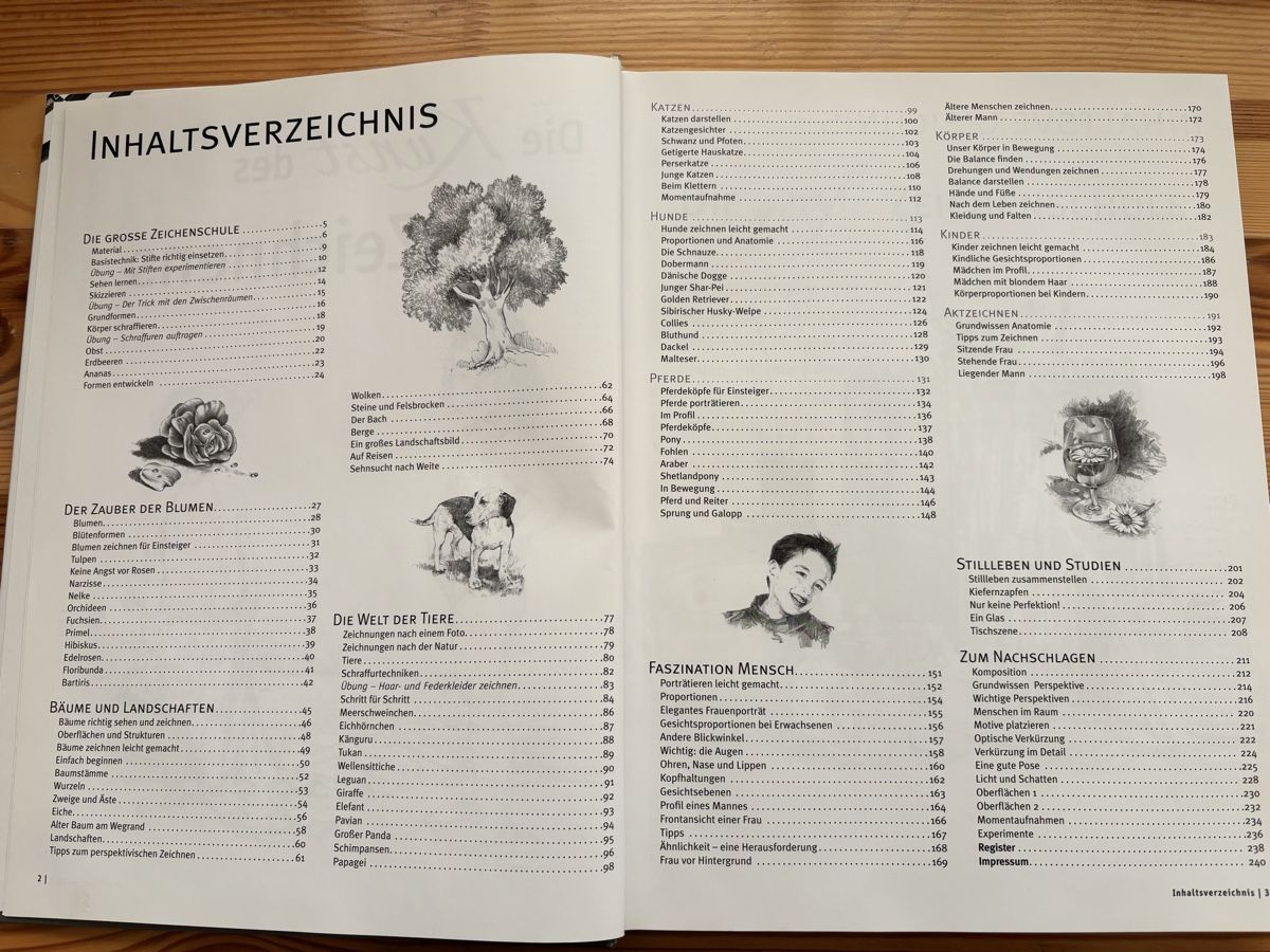 Libri: Die Kunst des Zeichnens – Usato da Buochs venduto da shivashila 3