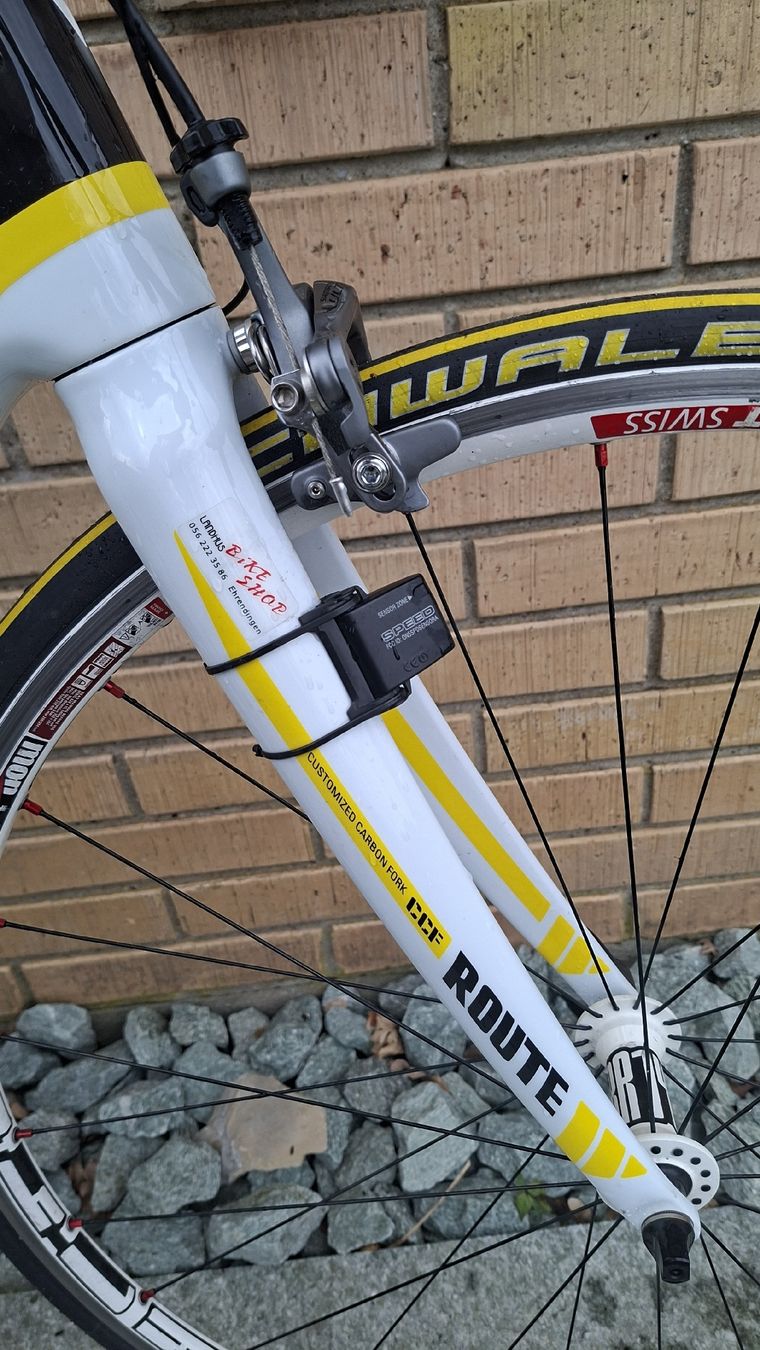 Wheeler Biciclette: Wheeler Rennrad – Usato da Schinznach Dorf venduto da bas_f75f 3