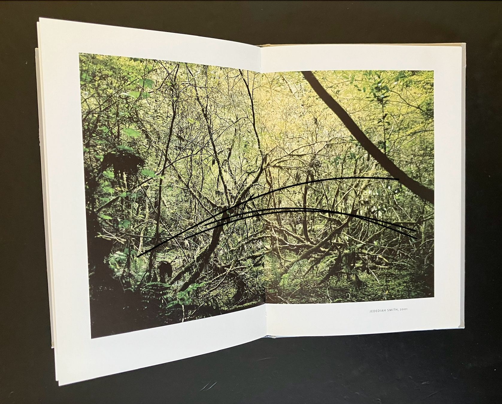 Libri: claudio moser ... walk on ... fotomuseum winterthur – Usato da Allschwil venduto da rotocker 1