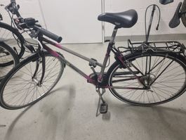 Titan Bijou Fahrrad Damen inkl. Korb!