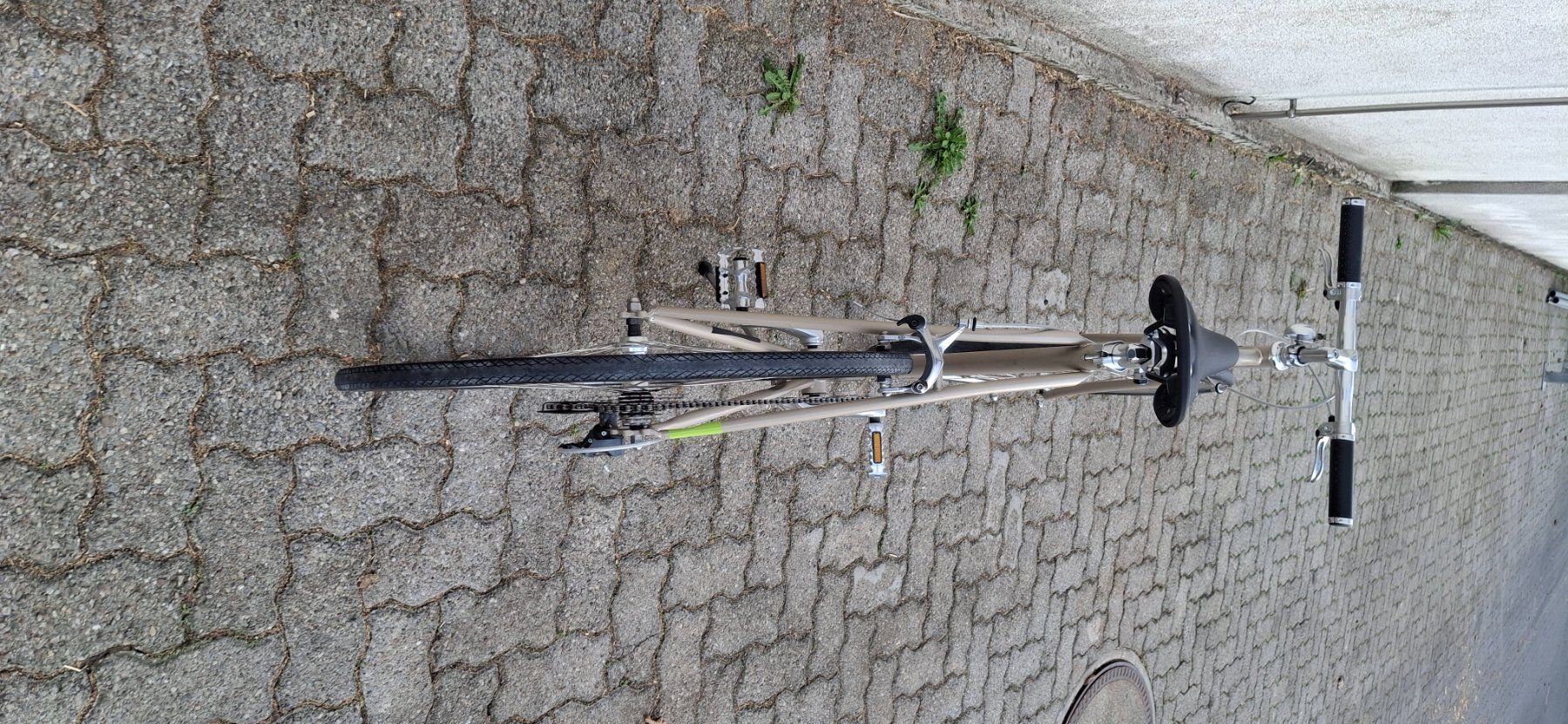 Siech Biciclette: Rennvelo SIECH ab Service – Usato da Kyburg venduto da JBMNT2020 5