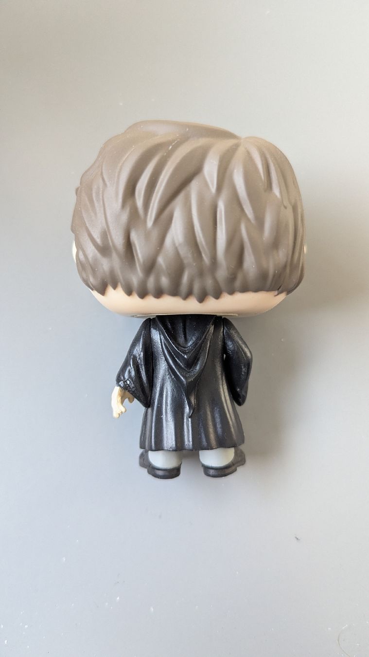 Funko Statuette: Funko pop Tom Riddle – Usato da Dietikon venduto da Bhelbling 1