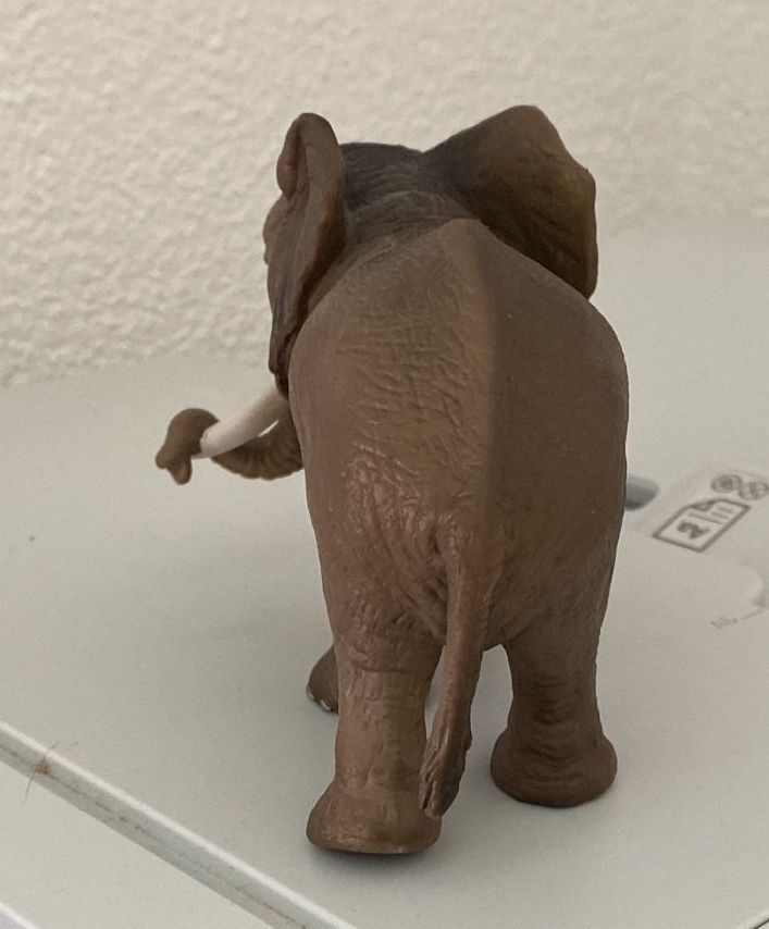 Schleich Giocattoli: Schleich Elefant – Nuovo e nell'imballaggio originale da Wagenhausen venduto da FrauLang 1