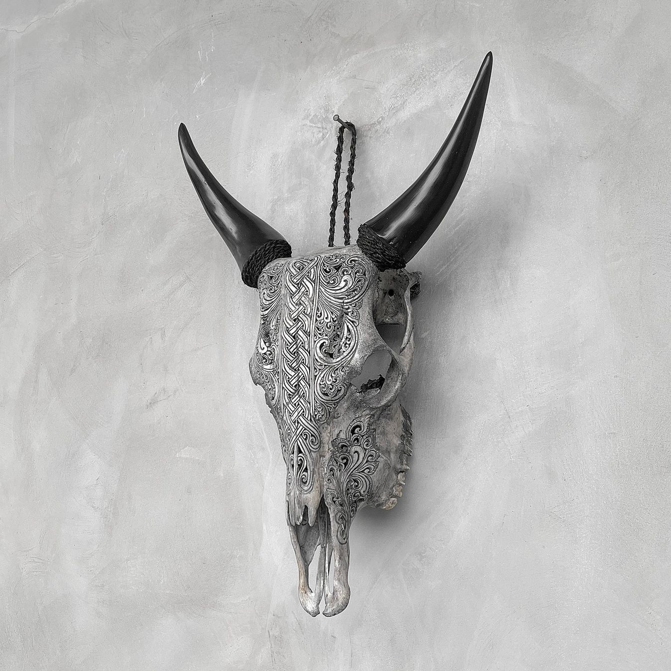 Sculture & Statue: Authentischer handgeschnitzter Kuhschädel - 57 cm x 40 cm. – Nuovo (secondo la descrizione) da Ponte Tresa venduto da 11GalleriaAlterEgo11 3
