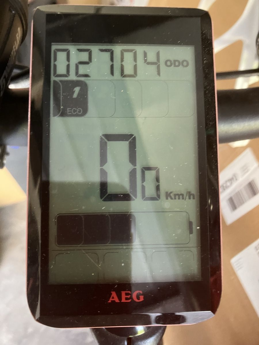 Biciclette: Rex e-Bike 7.8  bergsteiger – Usato da Cureglia venduto da Ottonit 7