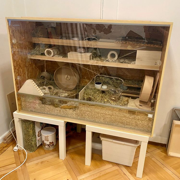 Hodeffior Hamster Plattform Aus Holz - Kletterregal Für Goldhamster & Kleintiere