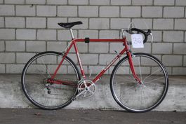 Occasionsvelo 36