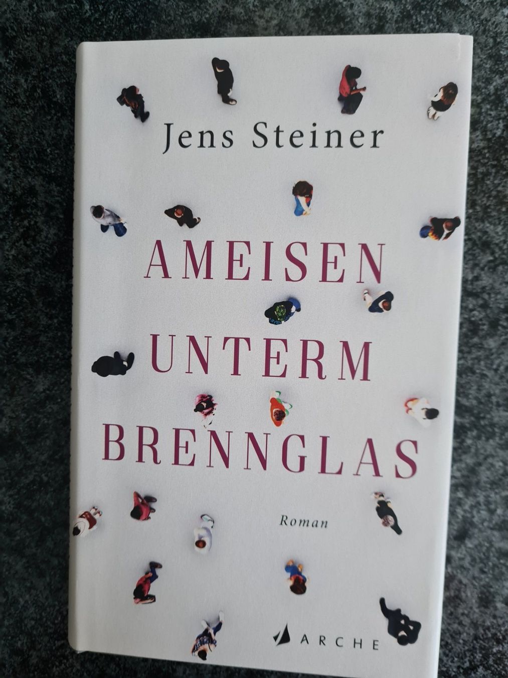 Libri: Ameisen unterm Brennglas – Usato da Klosters venduto da Riva123