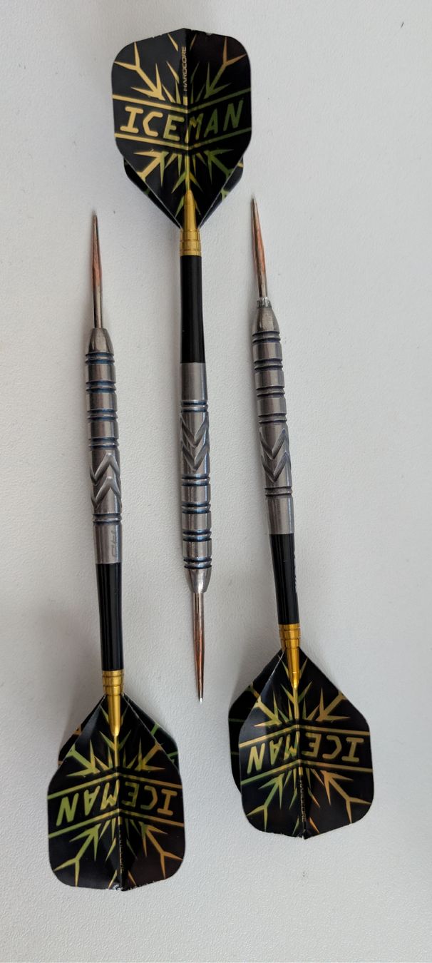 Freccette: Steeldarts Gerwyn Price Red Dragon – Usato da Einsiedeln venduto da Tooobias