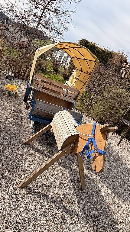 Calèches: Pferdekutsche / Spielkutsche – D'occasion à Abtwil SG par Lipol 4