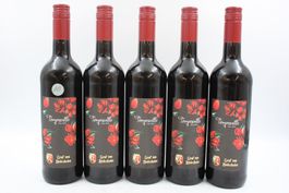 5x Graf von Rüdesheim Tempranillo Spanien 2023 (26072965Z)
