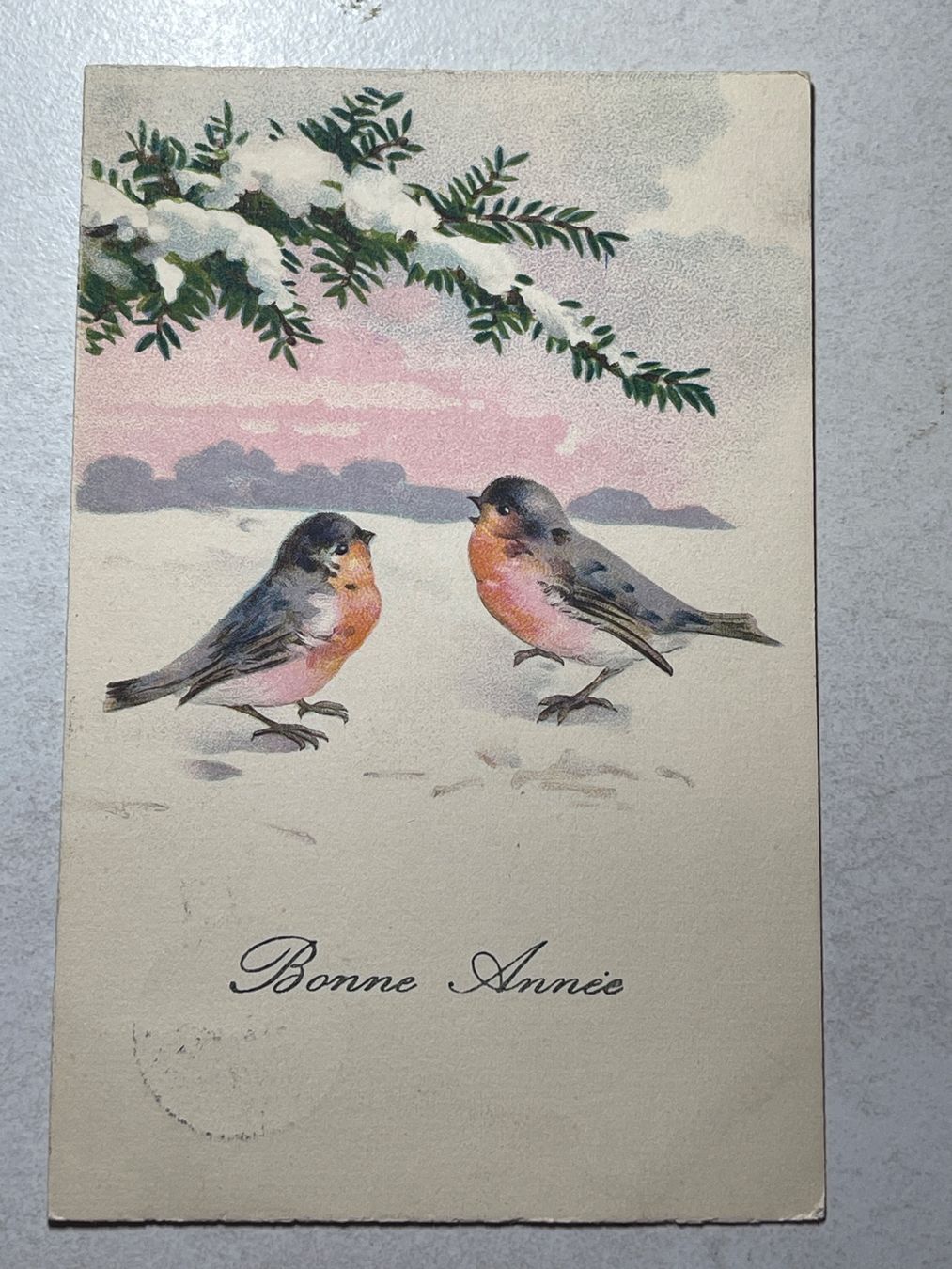 Cartoline postali: Alte Ansichtskarte mit Vögeln, – Usato da Strengelbach venduto da Aschatan5