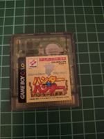 Hunter X Hunter: Legacy of The Expert Game Boy Color