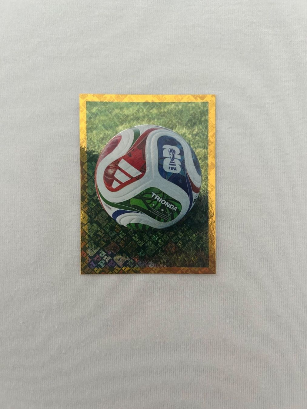 Panini Sammelbilder & Trading cards: Panini FWC 5 – Gebraucht aus Steckborn von DavidLM