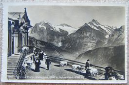 AK SCHYNIGE PLATTE, WETTERHORN, SCHRECKHORN 1916