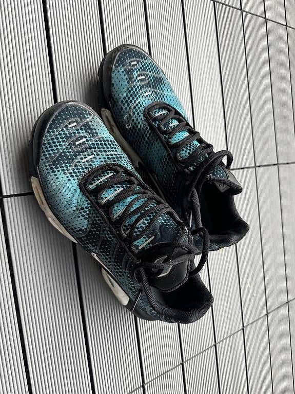 Nike Scarpe da uomo: Nike Air Max Plus / TN  Gr. 44.5  CHF 15. – Usato da Zürich venduto da anjamug