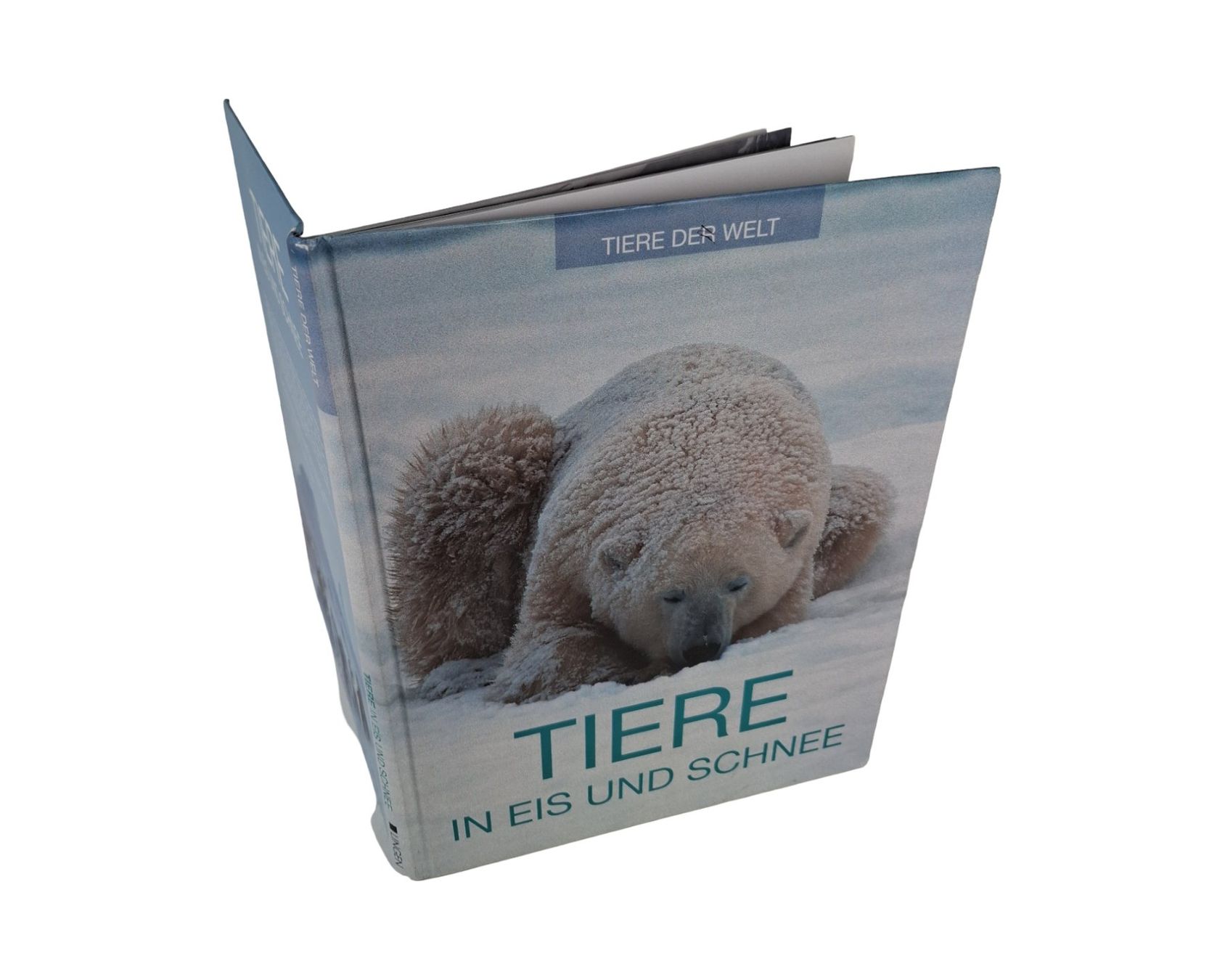 Libri: LINGEN Tiere in Eis und Schnee – Usato da Wil SG venduto da Restwert_Wil 2