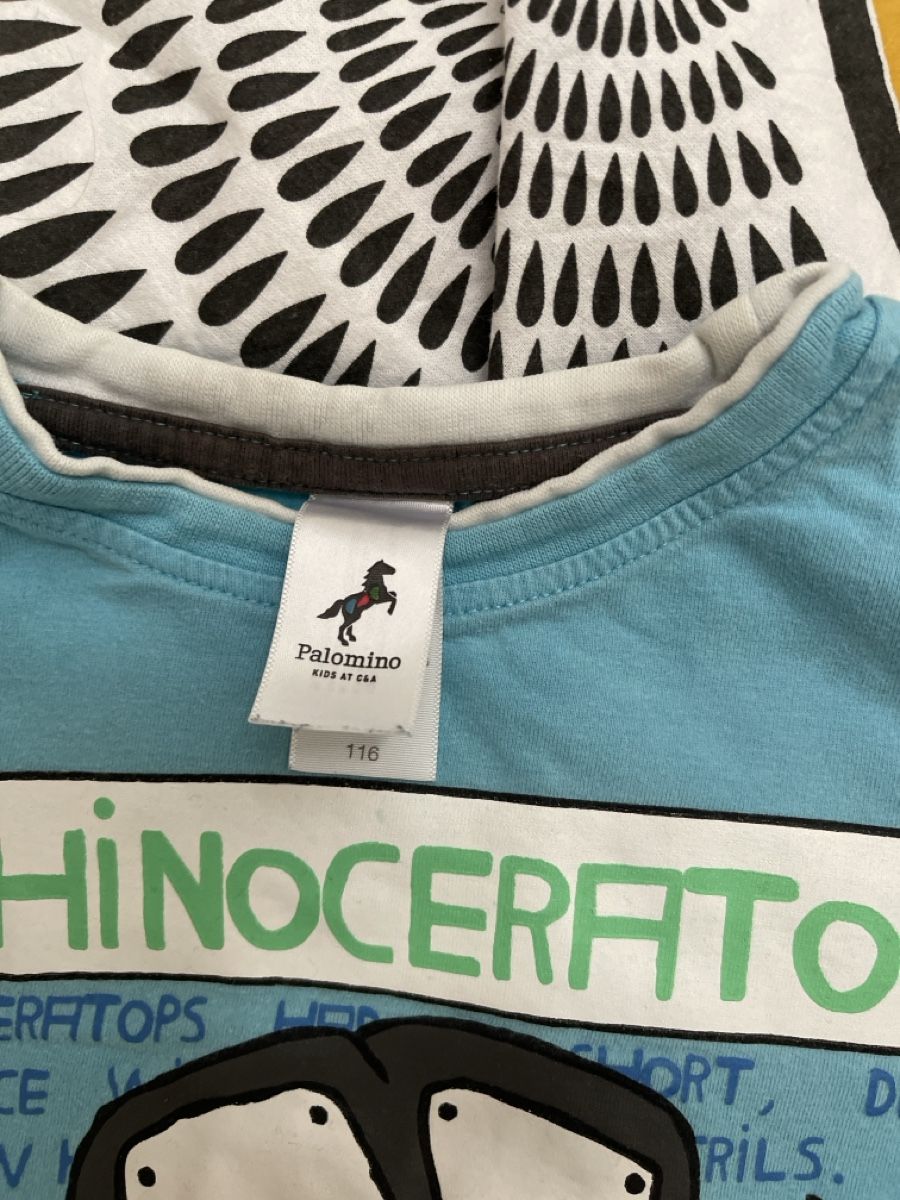 Camicie, T-shirt & Polo: T-shirt taille 116 – Usato da MARLY venduto da Aislee05 1
