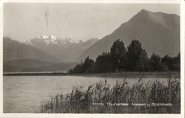 Thunersee - Niesen u.Blümlisalp