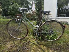Damen Velo Condor