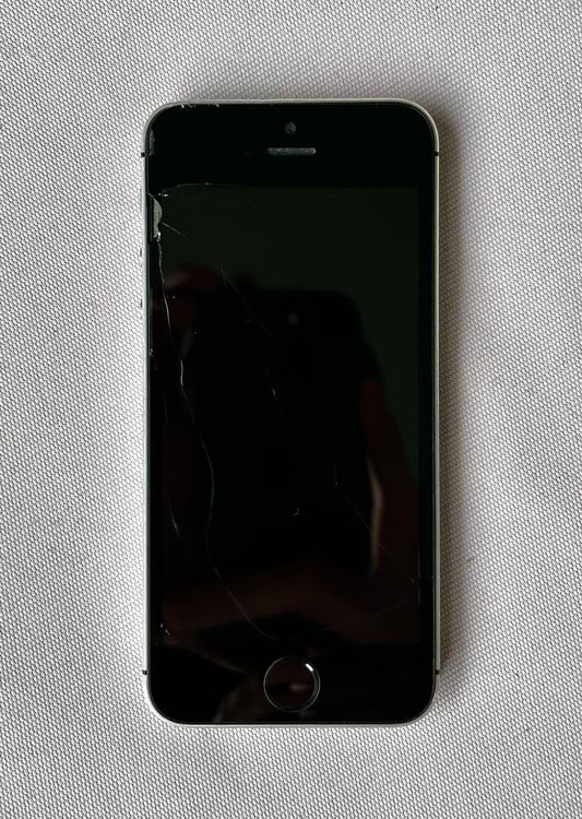iPhone SE (2016), 64GB, Space Grey | Kaufen auf Ricardo