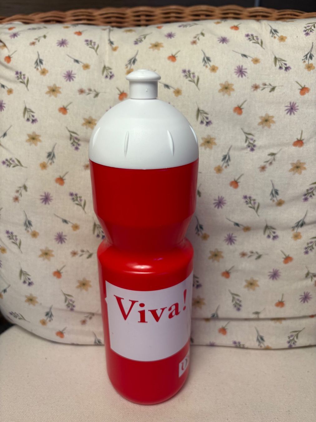 Borracce & Thermos: Trinkflasche – Nuovo (secondo la descrizione) da Chur venduto da smart.shopper