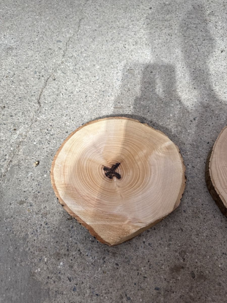 Articles en bois: Holzscheiben Untersetzer 6 Stk.  – D'occasion à Alten par Malibu97 1