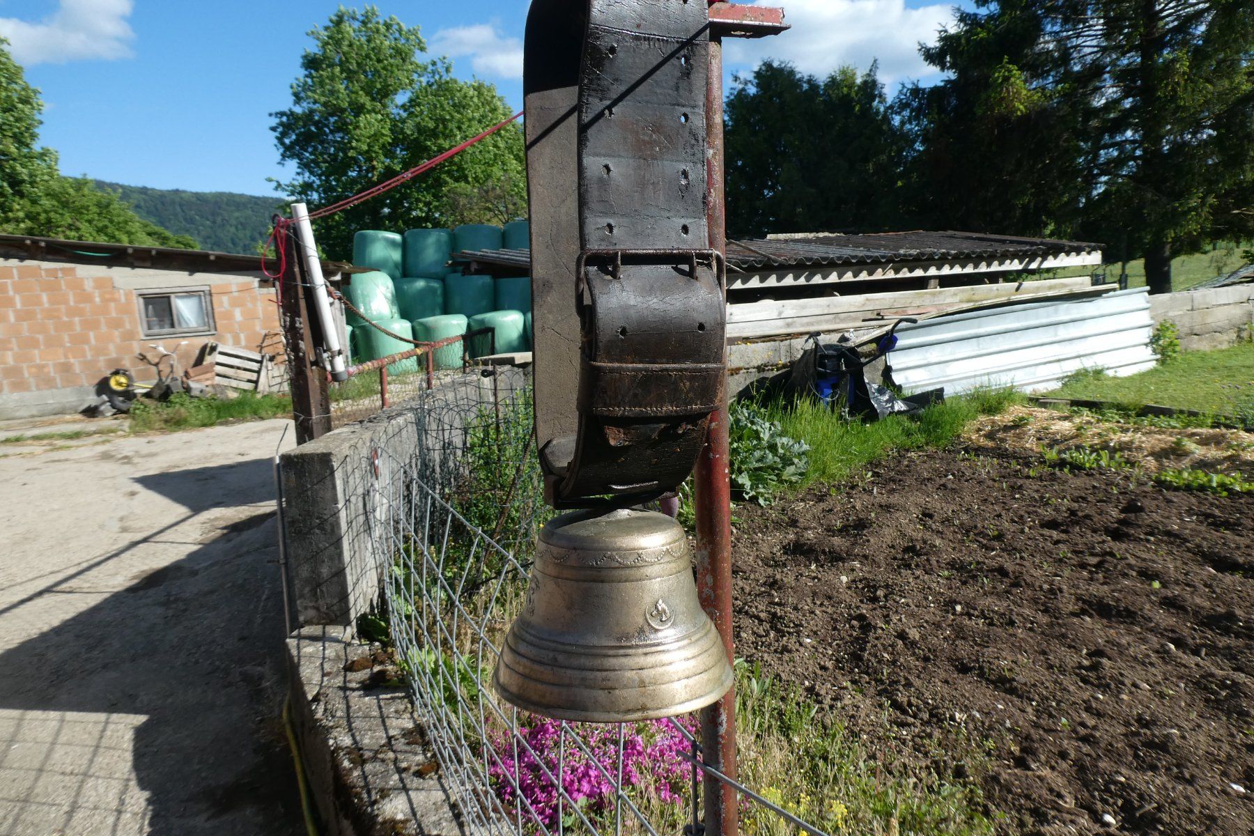 Campanacci mucche: Cloche Rohrbasser .Chatel ST denis – Usato da Fontaines NE venduto da monloisir